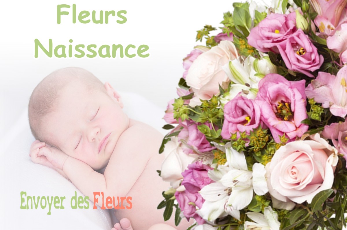 lIVRAISON FLEURS NAISSANCE à SAIGUEDE